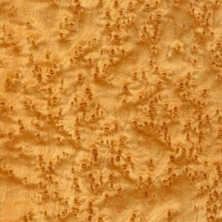 Birds eye maple